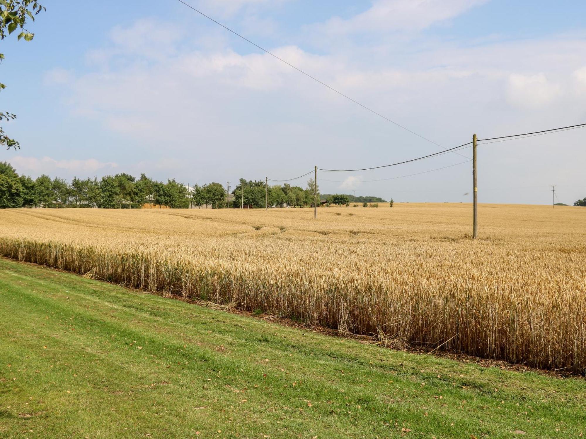 The Barn Βίλα Northallerton Εξωτερικό φωτογραφία