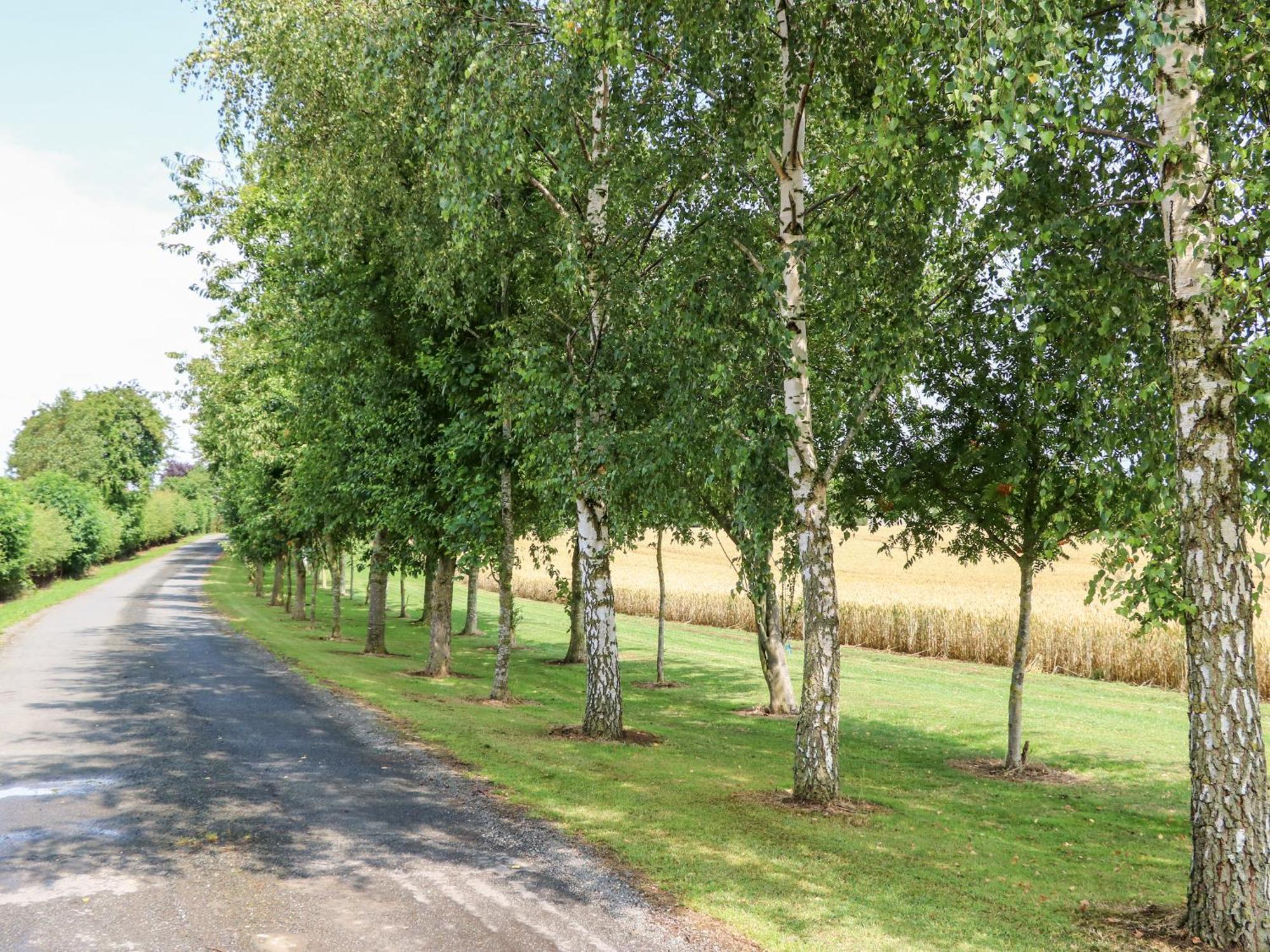 The Barn Βίλα Northallerton Εξωτερικό φωτογραφία